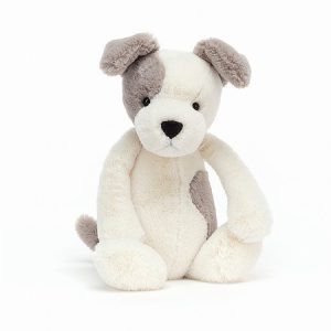 Bashful Terrier (Medium)