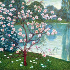 Magnolia