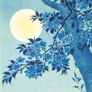 Blossoming Cherry on a Moonlit Night