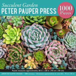Succulent Garden (1000)