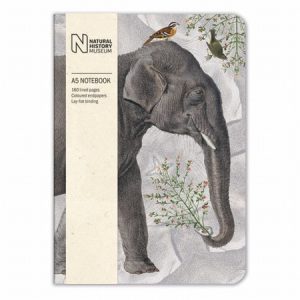 A5 Notebook – Elephant