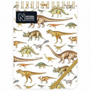Reporter’s Notebook – Dinosaurs