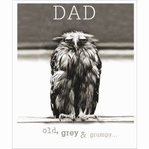 Dad – Old, Grey, Grumpy Owl