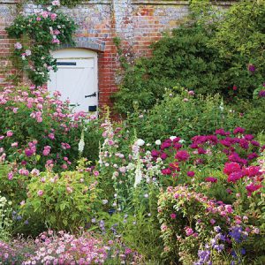 Floral Garden, Mottisfont