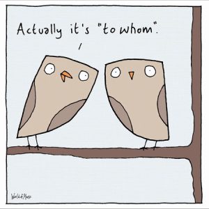 Owls “To Whom”