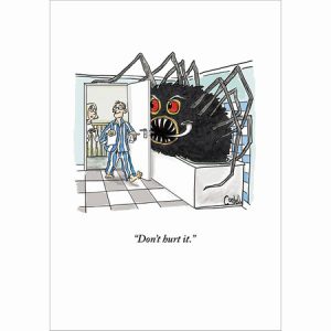 Spider in the Bathroom
