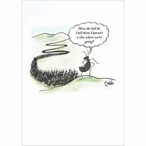 Ant Colony