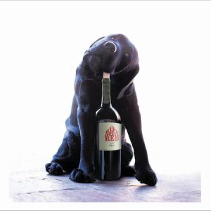 Dog and Wine Bottle