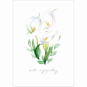 Sympathy – Lily
