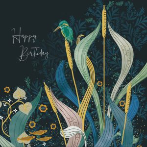 National Trust: Riverside Kingfisher