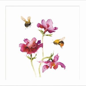 Bees and Anemones