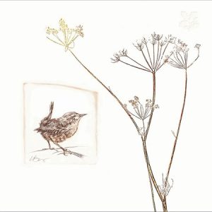 National Trust: The Visitor