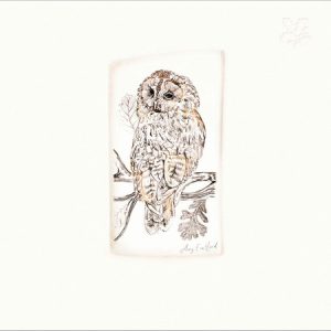 National Trust: Twilight Tawny Owl