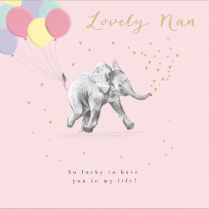 Nan – Elephant Confetti