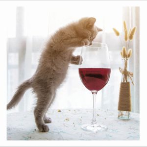 Cat “Just One Glass”