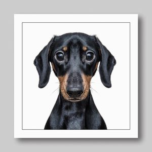 Gruff Pawtraits – Mini Dachshund