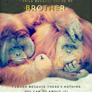 Brother – Orangutans Smile