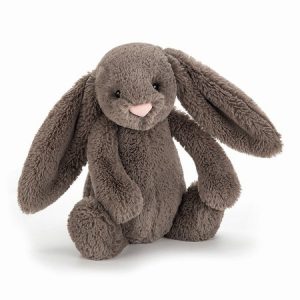Bashful Truffle Bunny (Medium)