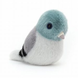 Birdling Pigeon