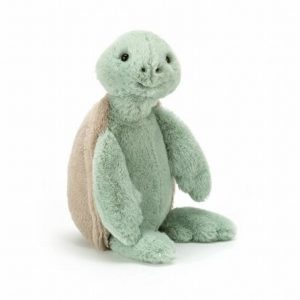 Bashful Turtle (Medium)