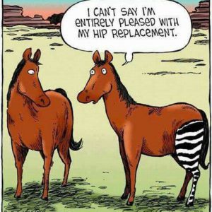 Hip Replacement