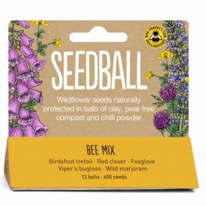 Seedball – Bee Mix Tube