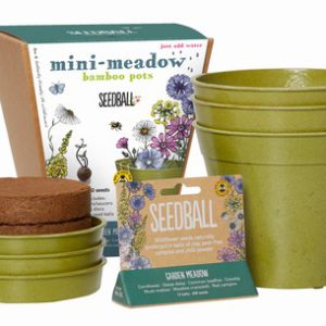 Seedball – Mini Meadow Bamboo Pots Garden Meadow