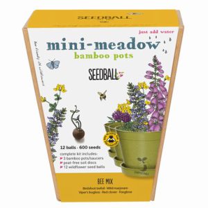 Seedball – Mini Meadow Bamboo Pots Bee Mix