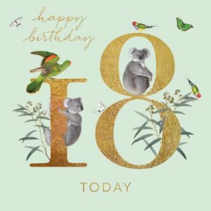 18th Birthday – Natural History Museum Koala