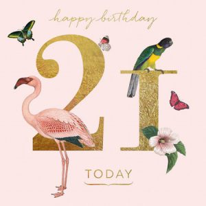 21st Birthday – Natural History Museum Lesser Flamingo