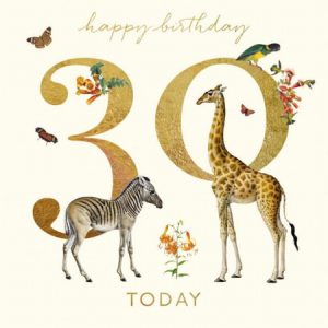 30th Birthday – Natural History Museum Giraffe and Zebra