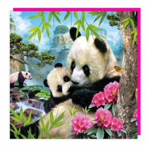 Lenticular 3D Card – Pandas in the Mist
