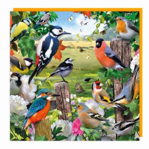 Lenticular 3D Card – Birds in the Field