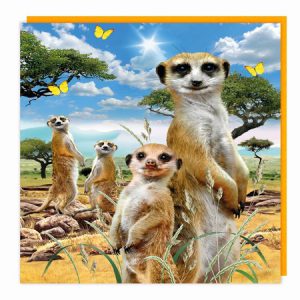 Lenticular 3D Card – Gang of Meerkats