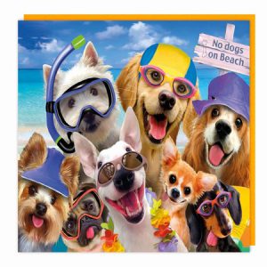 Lenticular 3D Card – Dogs Ready To Swim