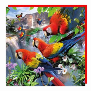 Lenticular 3D Card – Pandemonium of Parrots