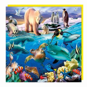 Lenticular 3D Card – Two Sides to the Ocean