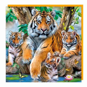 Lenticular 3D Card – Tiger Mum and Cubs