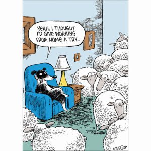 Dave Coverly Working From Home