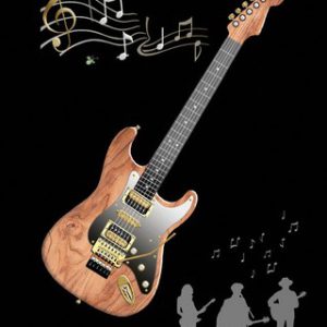 Bug Art Guitar