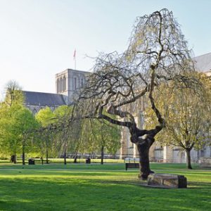 Winchester Cathedral Early Spring Morning
