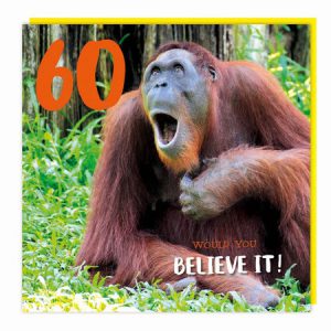 60th Birthday – Orangutan