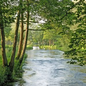 River Test, Greatbridge – Late May