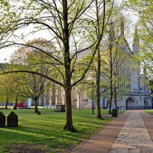 Winchester Cathedral in Spring Sunshine