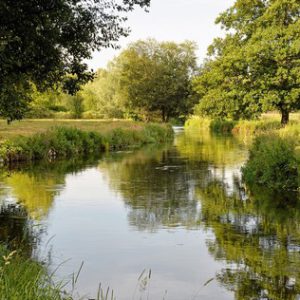 River Itchen, Winchester