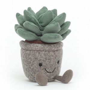 Silly Succulent Azulita