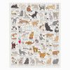 Cat Lover's Jigsaw (1000) - Image 3