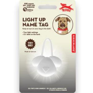 Light Up Dog Name Tag