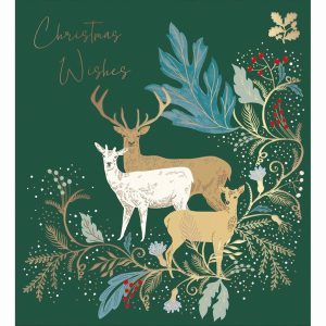 National Trust Christmas Wishes / Magical Forest