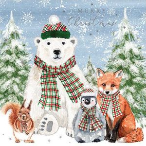Animal Friends – Pack of 6